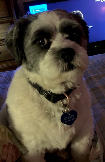 Bobby